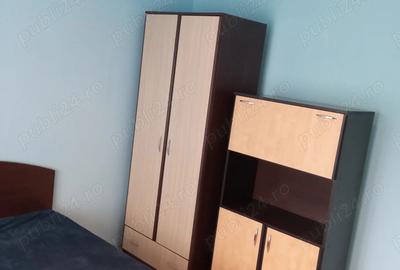 Apartament cu 2 camere semidecomandat în Gorjului - 7