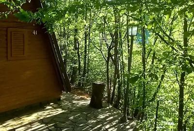 Cabana Firiza - 2