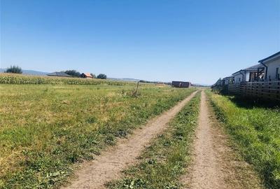 TEREN STRADAL CU UTILITATI 500 MP,  STUPINI BRASOV - 6