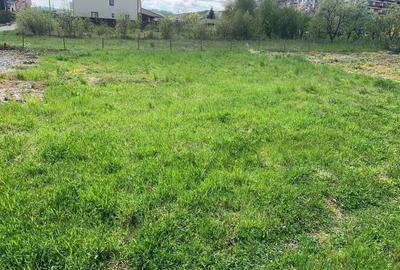 Spațiu comercial, în Petru Rareș - 3