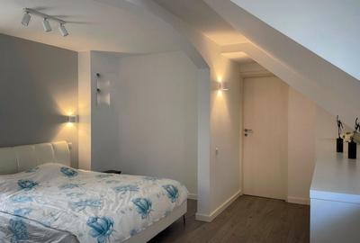 Vila cu 3 apartamente independente si gradina mare in Cotroceni - 14