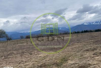 Teren de 1200 mp, în Central - 3