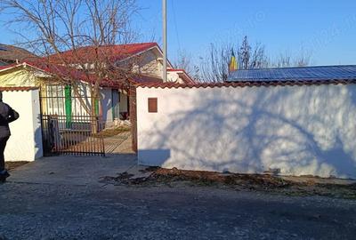 Casa de vanzare Du?ulesti Dolj - 2