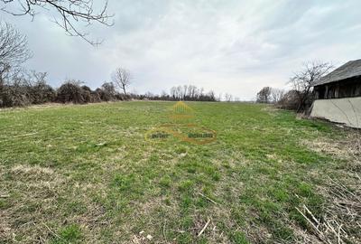 Teren Construcții intravilan de 11021 mp, în Blăgești - 8