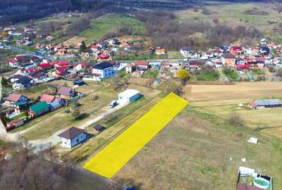 BUDESTI - TEREN 2550 MP - 7