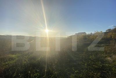 Teren intravilan in zona Sarmas in suprafata de 5332 mp - 2