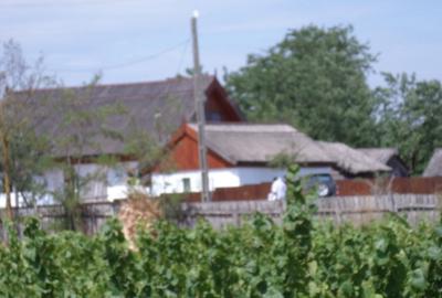 DELTA DUNARII, BIOSFERA, LETEA, Proprietate de VIS!  proprietar, - 15