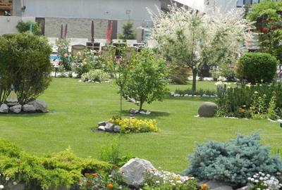 Pensiunea de Vis Pensiunea de Vis - 7