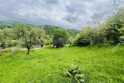 Teren de 1811 mp, în Sibiel - 3