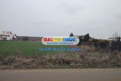 Vanzare teren Clinceni - 4