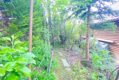 Casa de vacanta in Baiut - 14