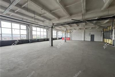 Hala industriala compartimentata in 5 spatii situat in zona Centrala - 8