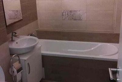 Inchiriere apartament cu 1 camera in zona Bucovina - 3