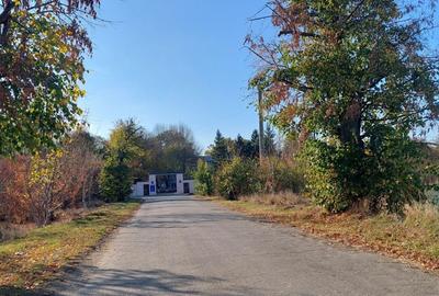 TEREN INTRAVILAN, 1800 mp langa Hornbach - 6