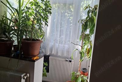 Apartament de vanzare Apartament de vanzare - 5