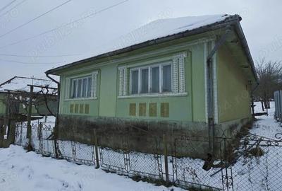 Casă cu 3 camere cu Teren 2500 Mp în Central - 8