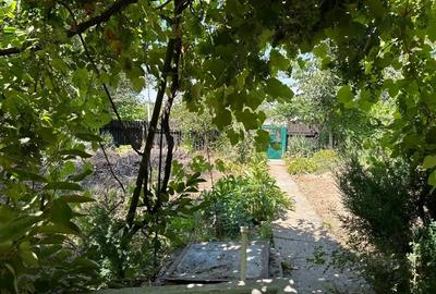 Casă cu 5 camere cu Teren 1100 Mp în Oltina - 7