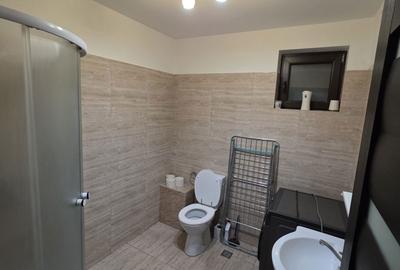 Apartament cu 2 camere decomandat, mobilat în Bariera Vâlcii - 8