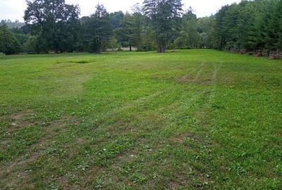 De vânzare teren extravilan - 4