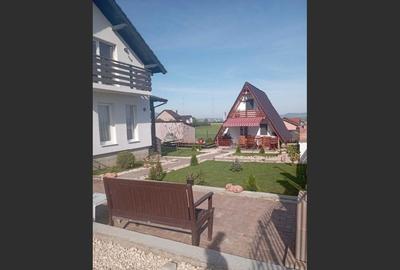 Commission 0 %!, Strada Brașovului 730p, Bod, România - 5