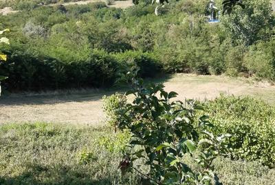 Casă cu 5 camere în Horga - 2