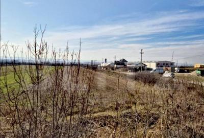 Teren de 5300 mp, în Central - 1