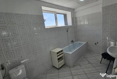 Spațiu comercial, de 250 mp, în Cantacuzino - 12