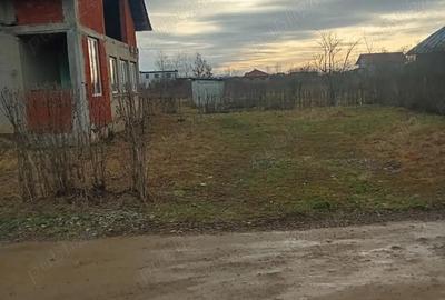 Casă cu Teren 2000 Mp în Micula - 1