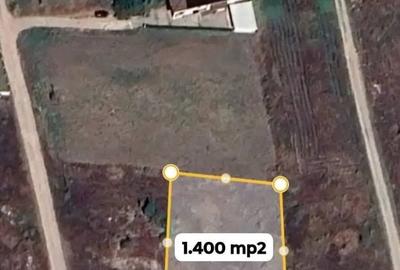 Teren de 141000 mp, în Brănești