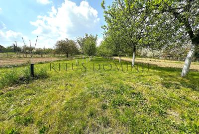 Teren Construcții intravilan de 5450 mp, în Cetariu - 2