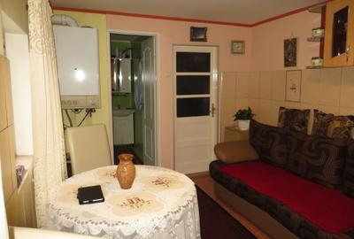 Casa parter si 2 etaje zona Titulescu - 16