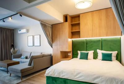 Garsonieră decomandată, mobilată în Sărari - 12