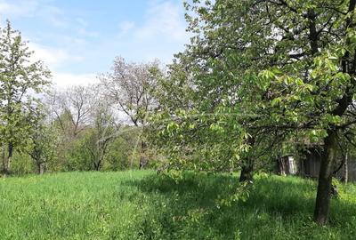 Teren de 1740 mp cu casa intabulata in PH-Provita de Sus - 4