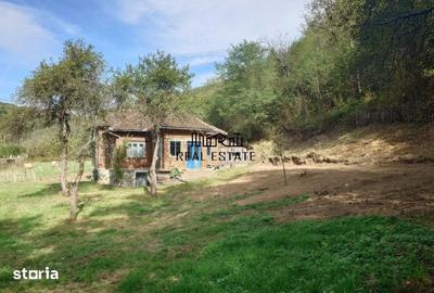 Casă cu 4 camere cu Teren 9563 Mp în Ribița - 18