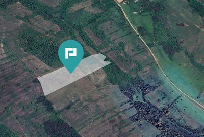 Teren arabil de 11,3 hectare in Bara, Timi? - 3