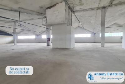 Hala Industriala, Depozit de inchiriat, Calea Clujului, Orad - 12