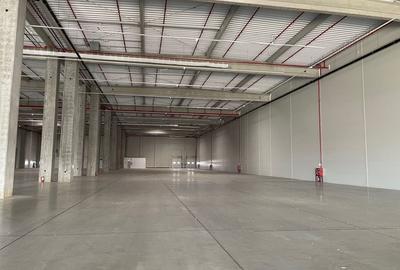 Spatiu de depozitare si productie centru logistic  Ploiesti - Soseaua de centura - 4
