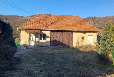 Casă cu Teren 2500 Mp în Negreni - 4