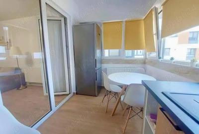 Apartament cu 2 camere decomandat, mobilat în Viilor - 11