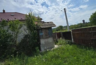 Casă cu 2 camere cu Teren 30000 Mp în Valea Leșului - 3