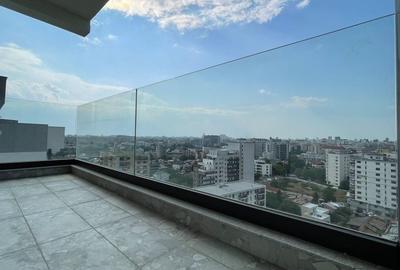 4 camere penthouse lux 3 min Mihai Bravu - 10