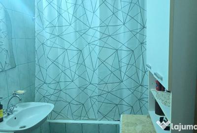 Apartament cu 2 camere decomandat în Liliacului - 2