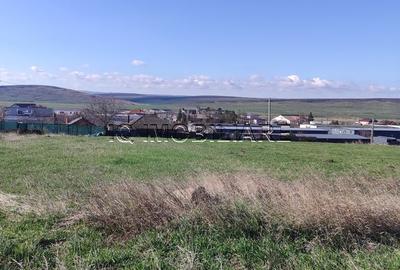 Teren de 5000 mp, în Miroslava - 2