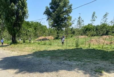 Vânzare teren 3 loturi pe Intrarea Serelor / Vitan barzesti / sector 4 - 4