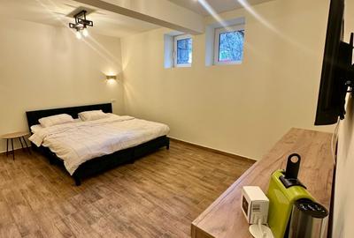 Garsonieră decomandată în Ultracentral - 1