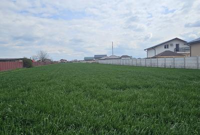 Magurele, Varteju - 4