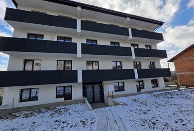 Apartament cu 2 camere semidecomandat în Frumoasa - 8