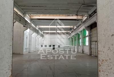 Spațiu industrial, de 620 mp, în Sânnicolau Mic - 5