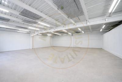 Spațiu industrial, de 598 mp, în Bradu - 4