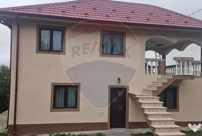 Casă cu 6 camere cu Teren 3141 Mp în Ploștina - 13